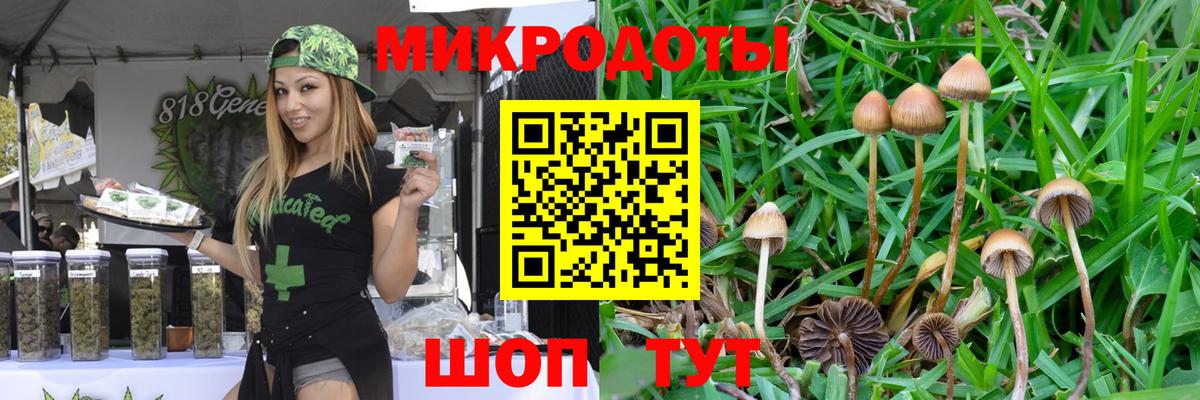 Псилоцибиновые грибы прущие грибы  Галлюциногенные грибы прущие грибы  Вход с VPN  Полевской 