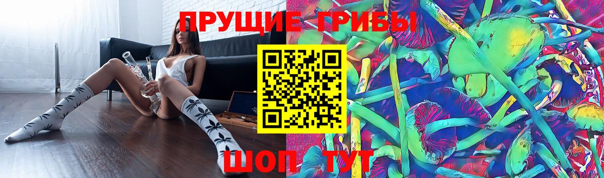 Псилоцибиновые грибы Psilocybe Полевской